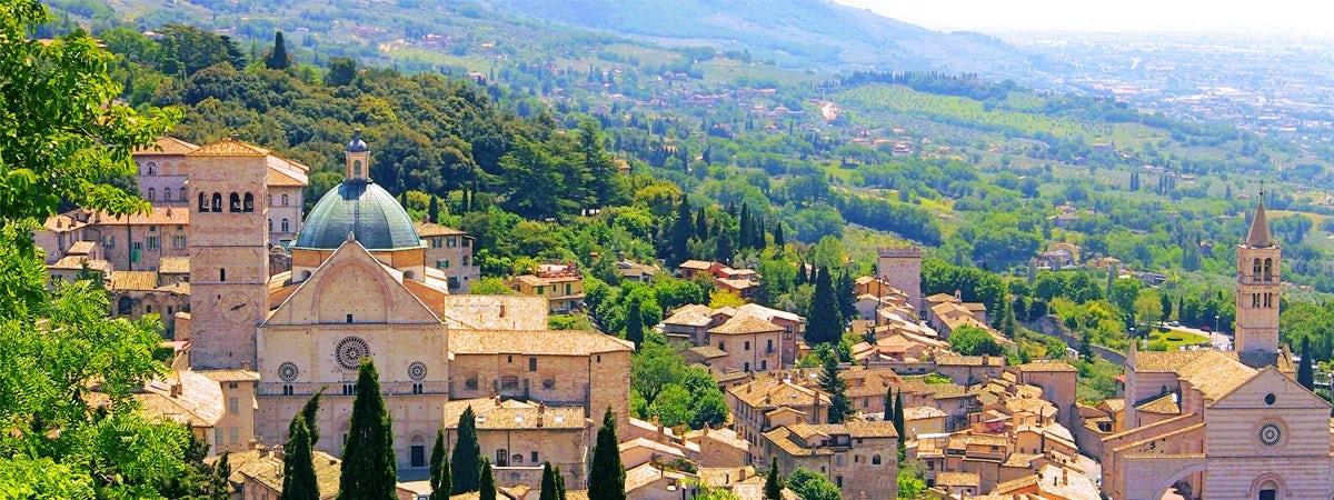 Most Popular Suppliers - background banner