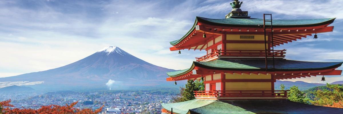 Exclusivement pour les voyageurs solos - Le Japon révélé